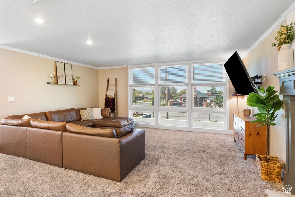 Living area featuring carpet flooring, ornamental molding, and recessed lighting