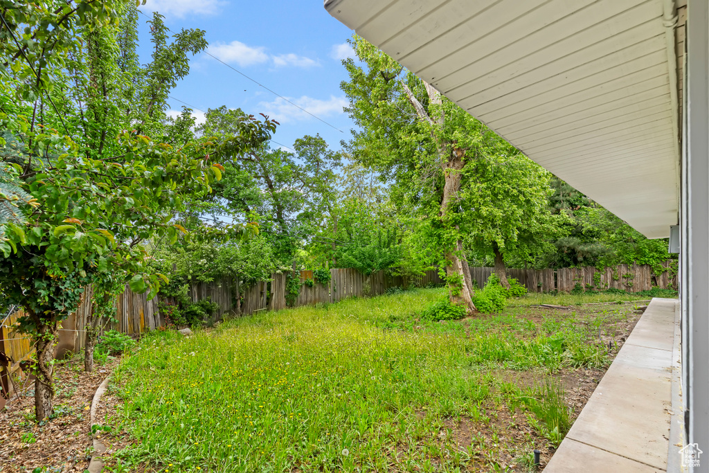 View of fenced backyard
