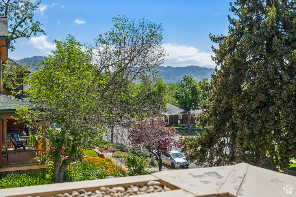 Mountain view