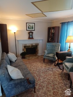 Living area with crown molding and a fireplace
