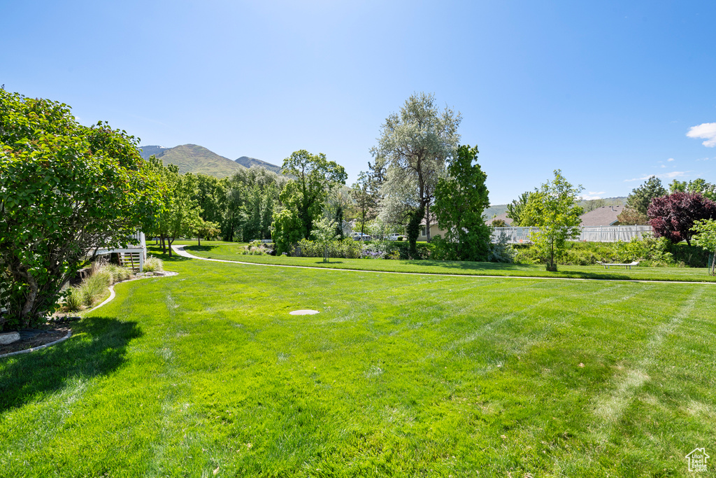 View of green lawn with a mountain view