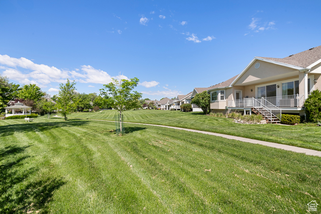 View of green lawn