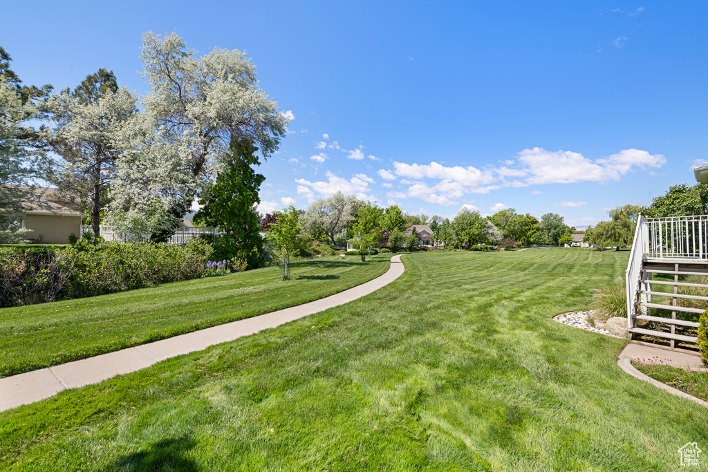 View of grassy yard