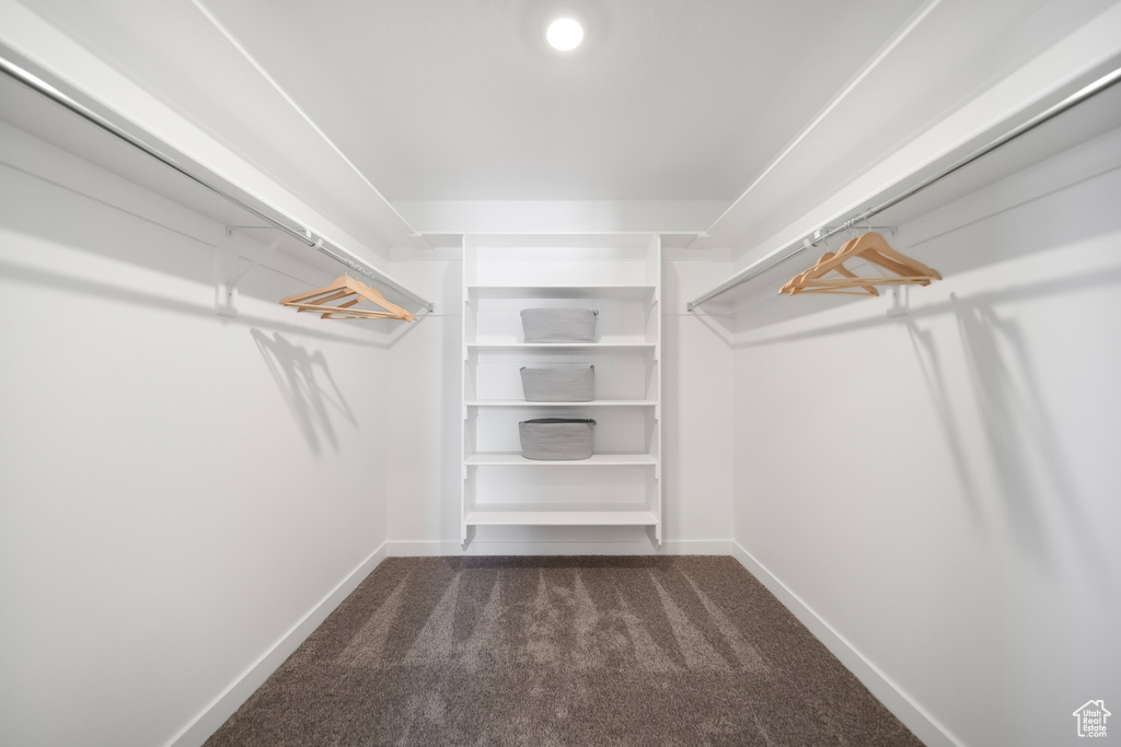 Walk in closet featuring dark colored carpet