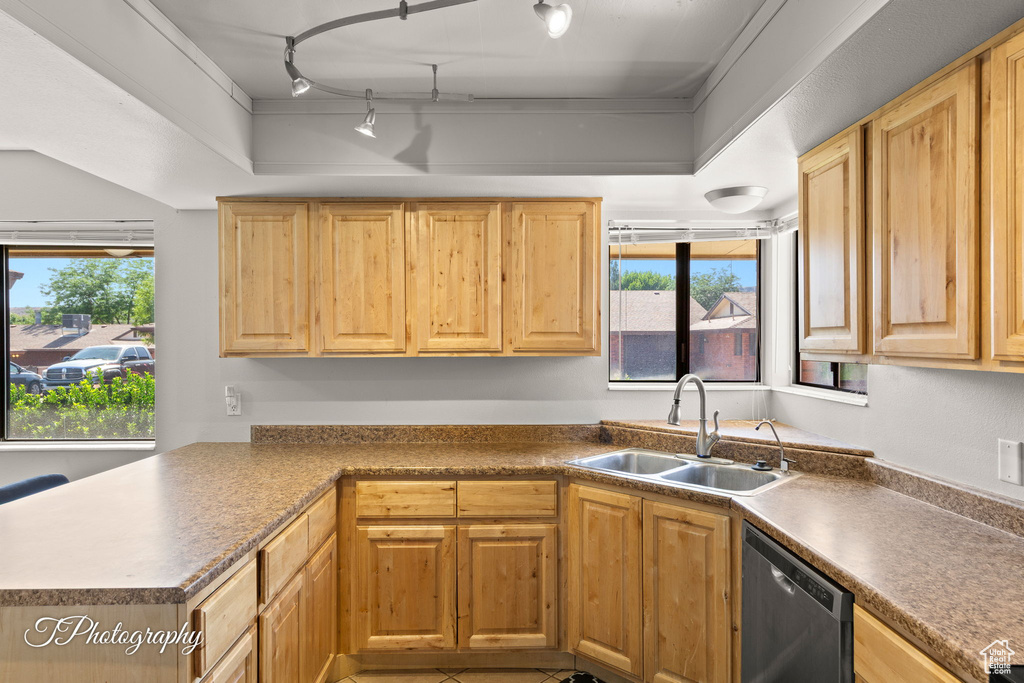 Kitchen with dishwasher, a sink, light brown cabinets, track lighting, and healthy amount of natural light