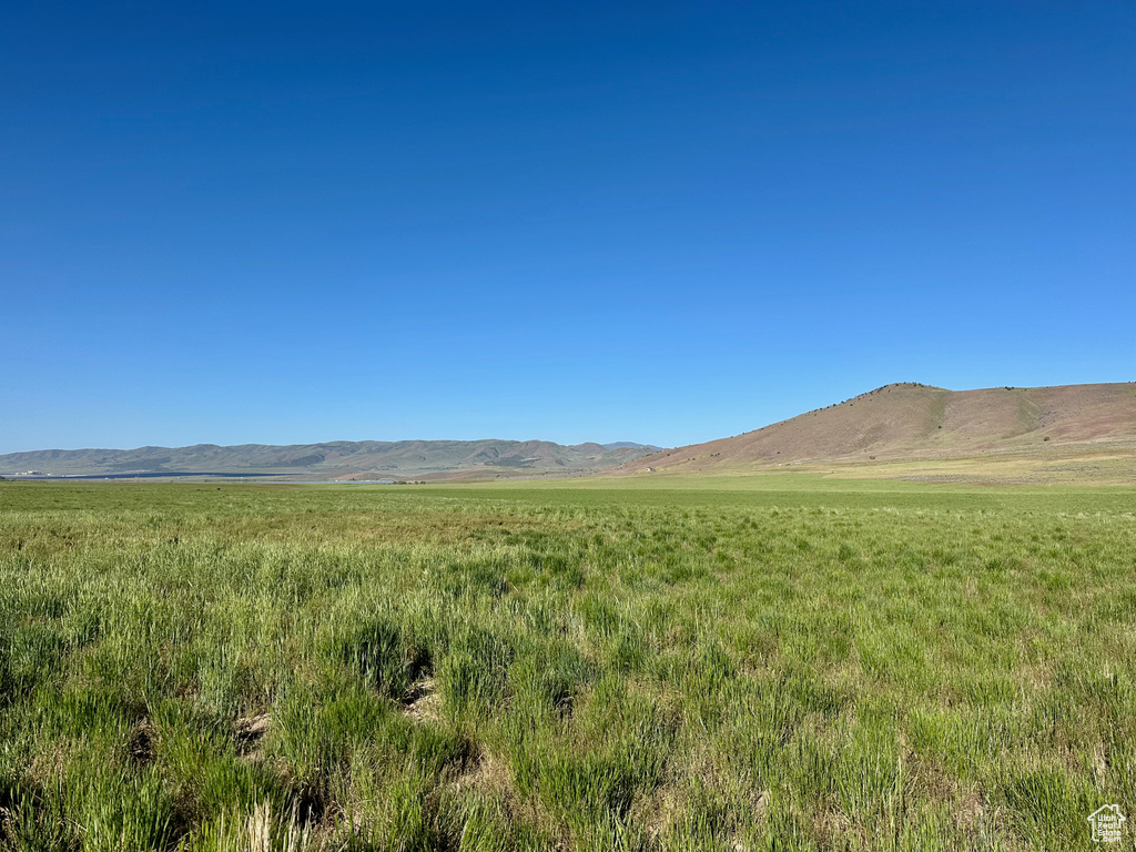 Mountain view
