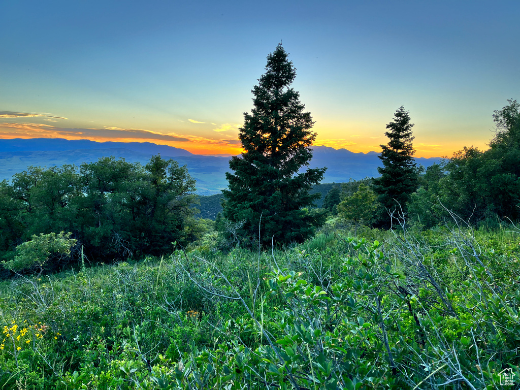 Mountain view