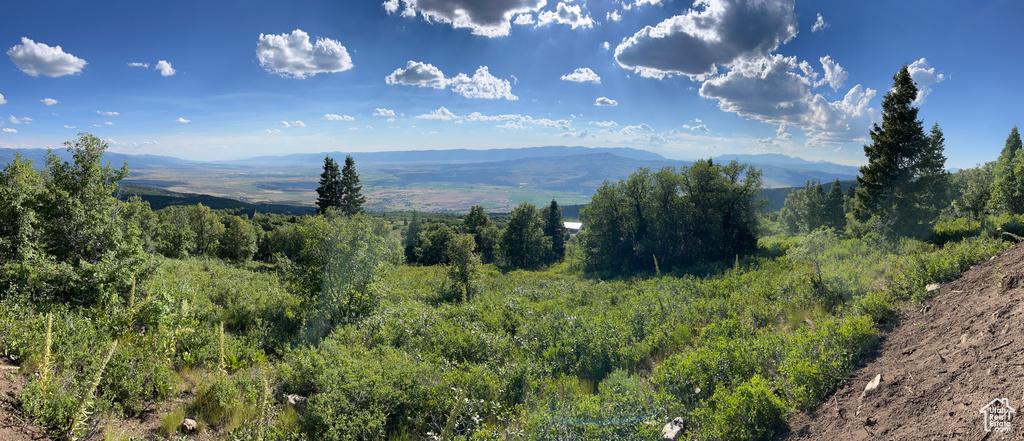 View of mountain background