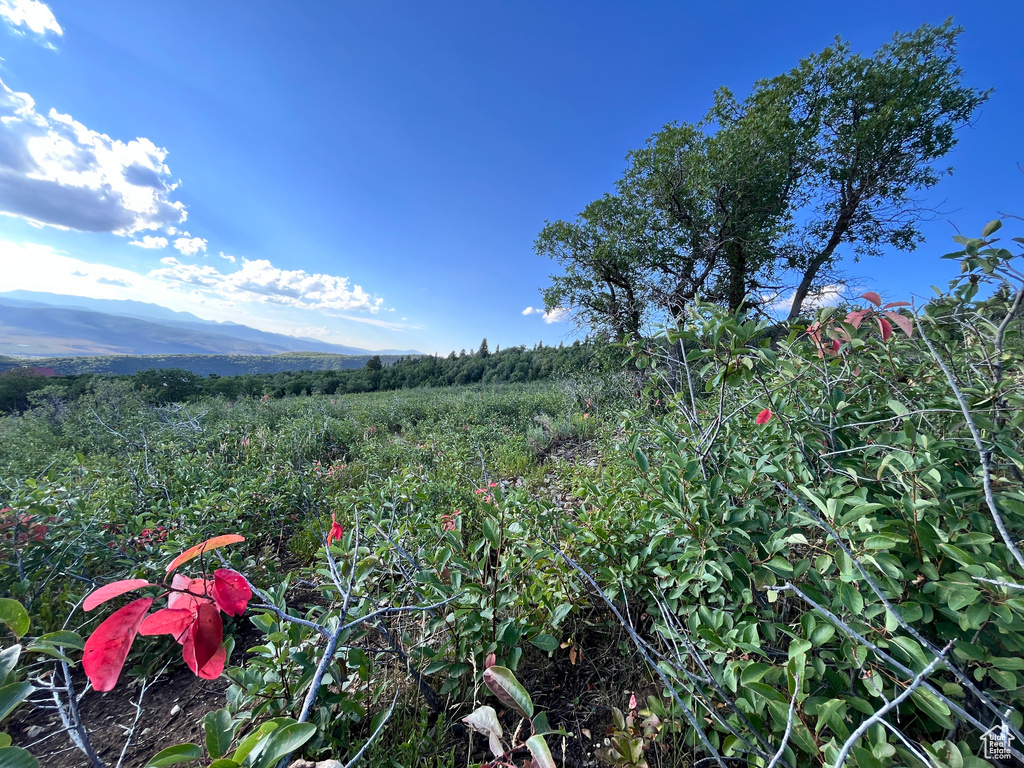 View of mountain backdrop