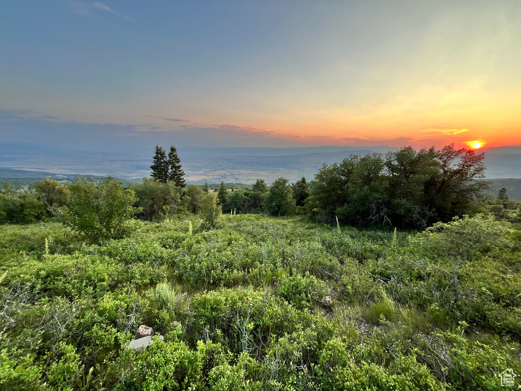 View of nature at dusk