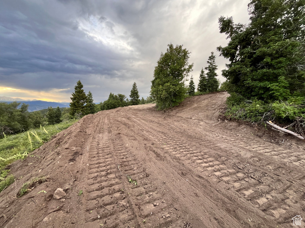 View of dirt / gravel road