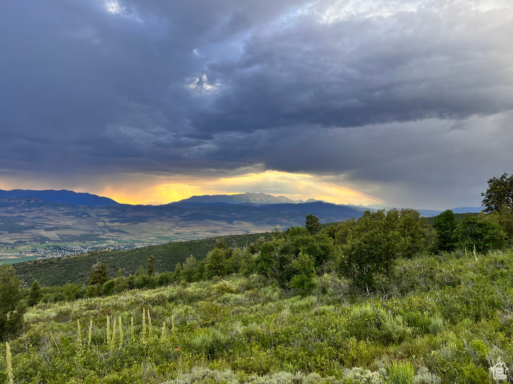 Mountain view