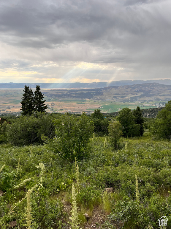 View of mountain background