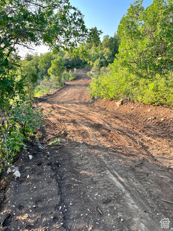 View of road