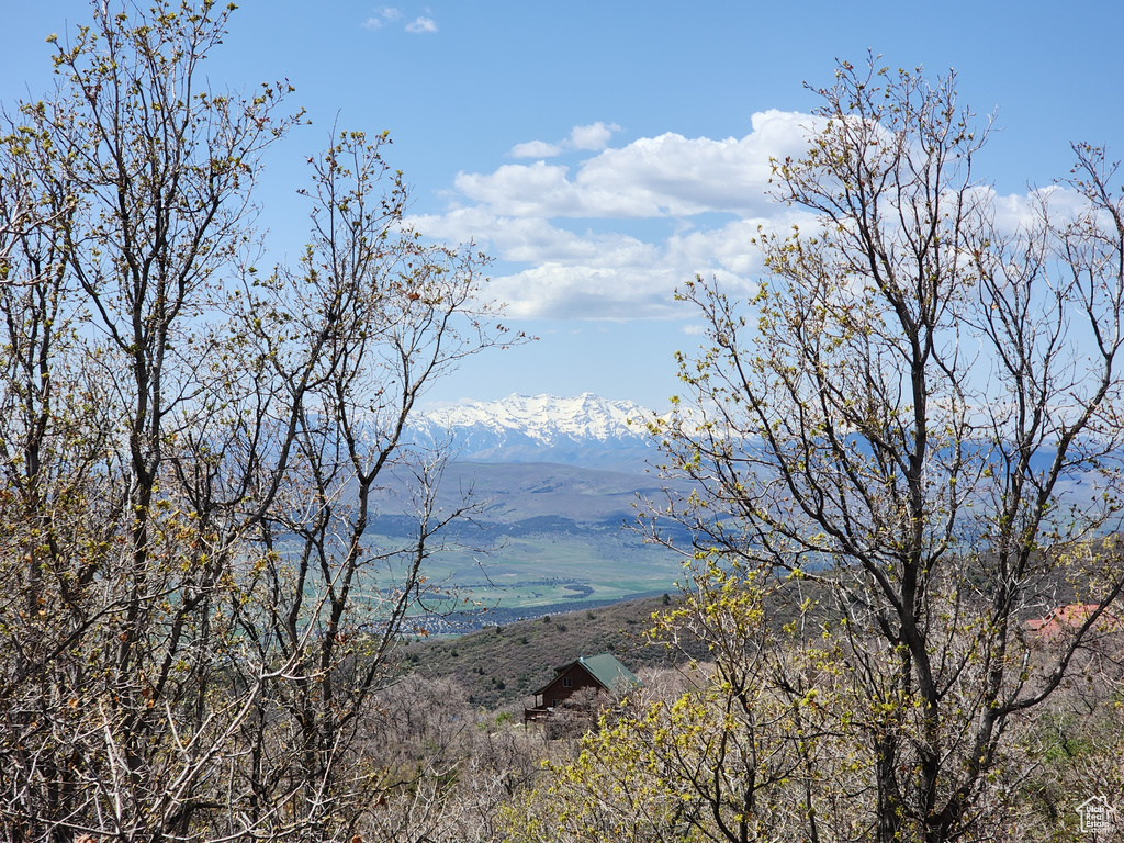 View of mountain background