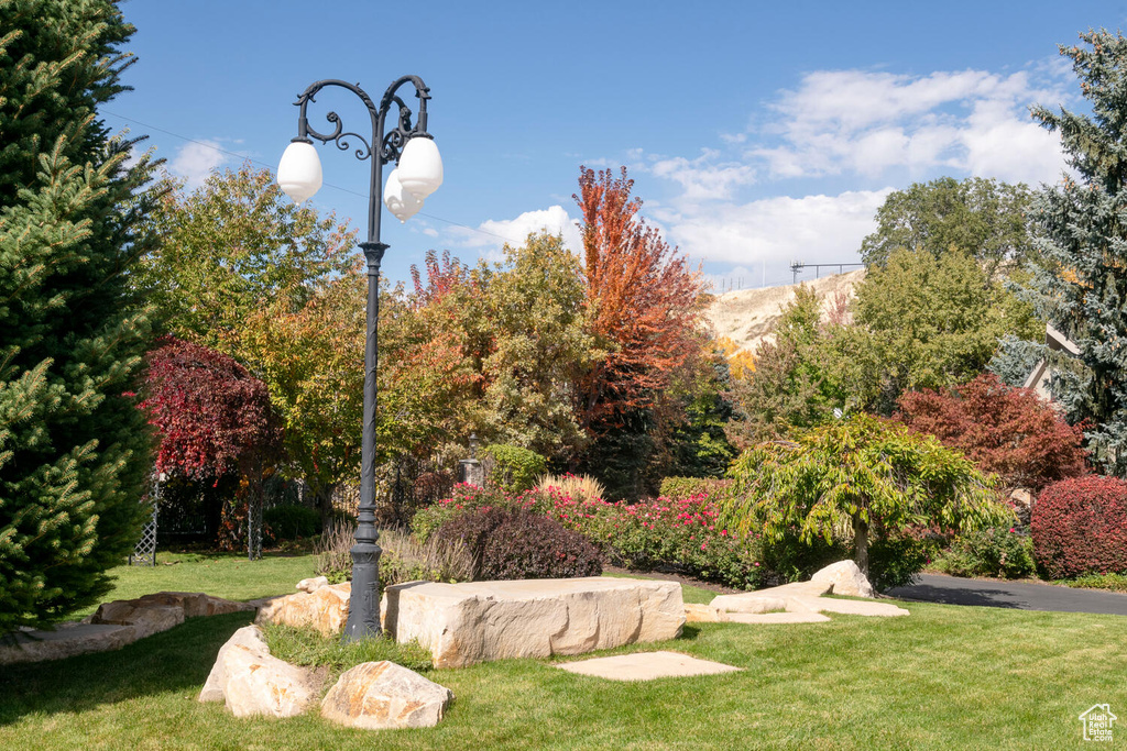 View of home\\\\\\\'s community featuring a yard