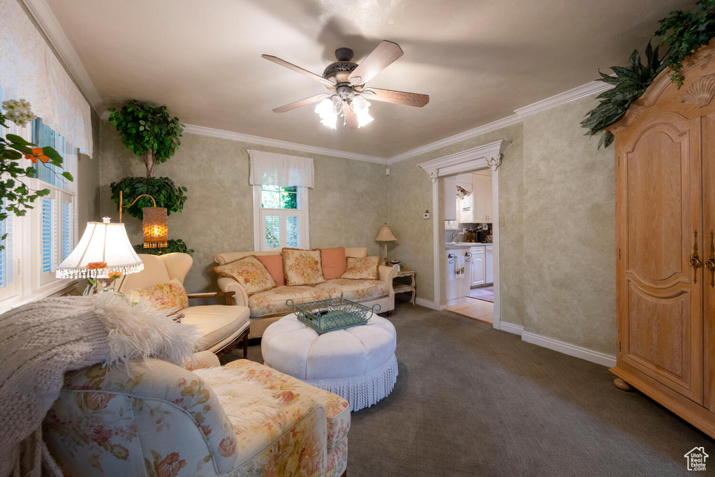 Carpeted living area featuring ornamental molding, a ceiling fan, and baseboards