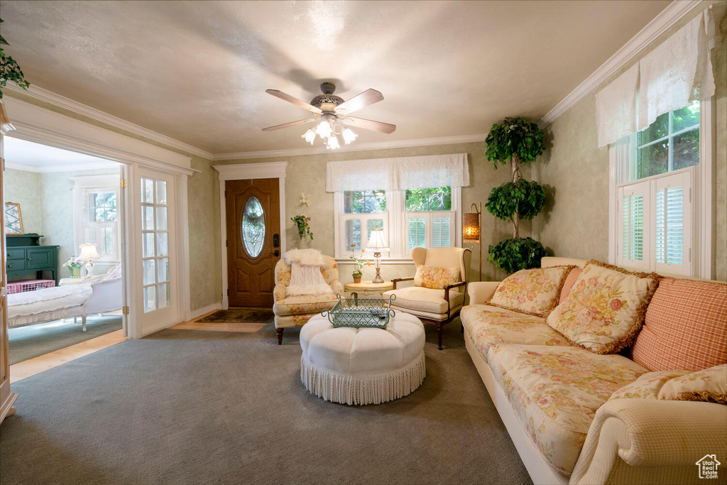 Living area featuring ceiling fan, crown molding, and carpet flooring