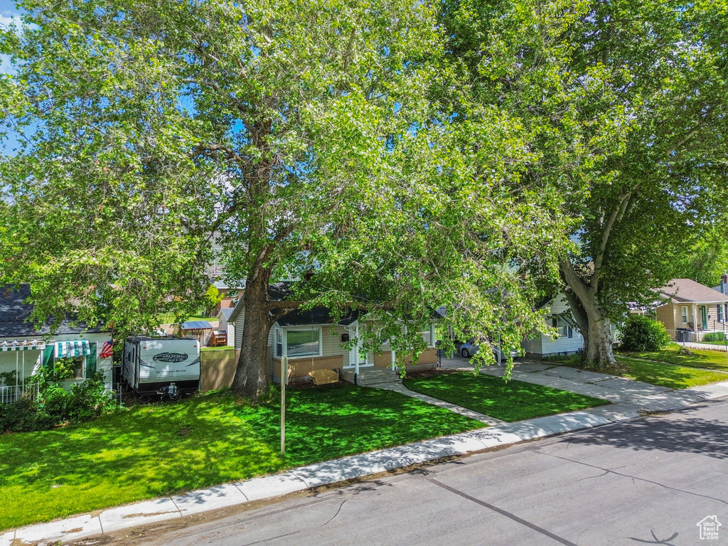 View of property hidden behind natural elements featuring a front yard