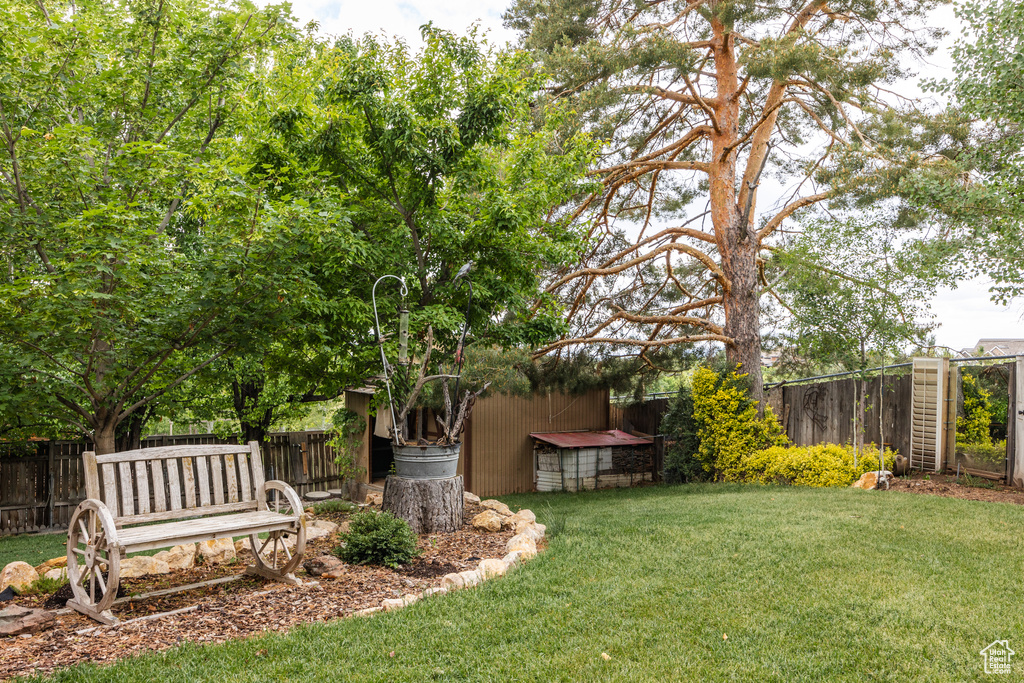 View of yard