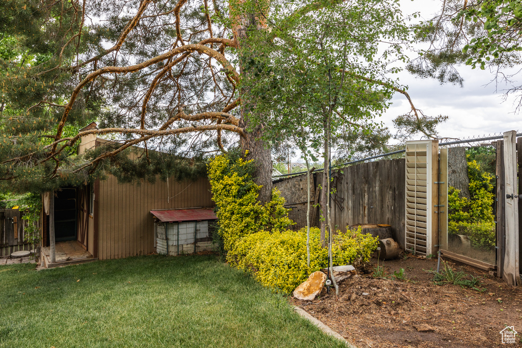 View of yard