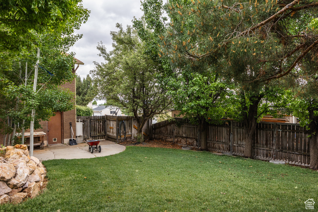 View of yard with a patio area