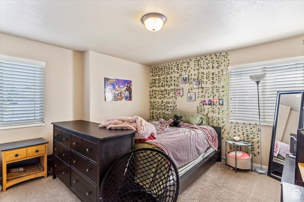 Carpeted bedroom featuring multiple windows