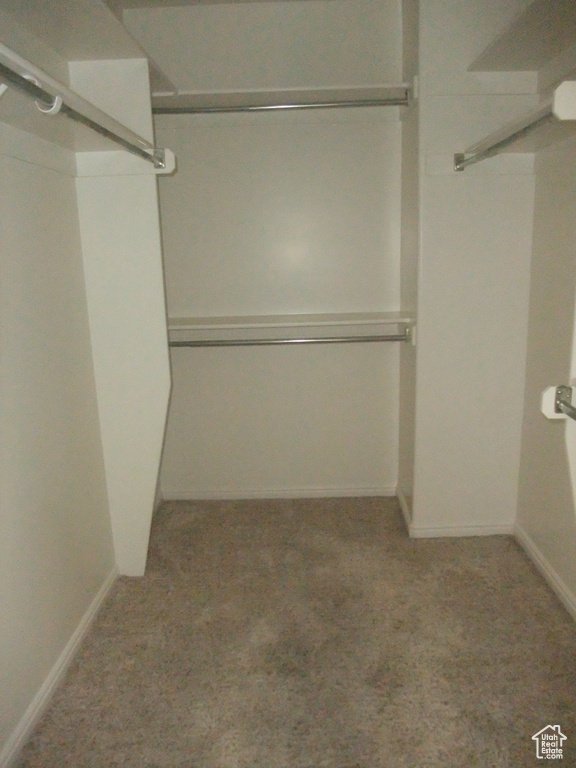 Walk in closet featuring carpet flooring