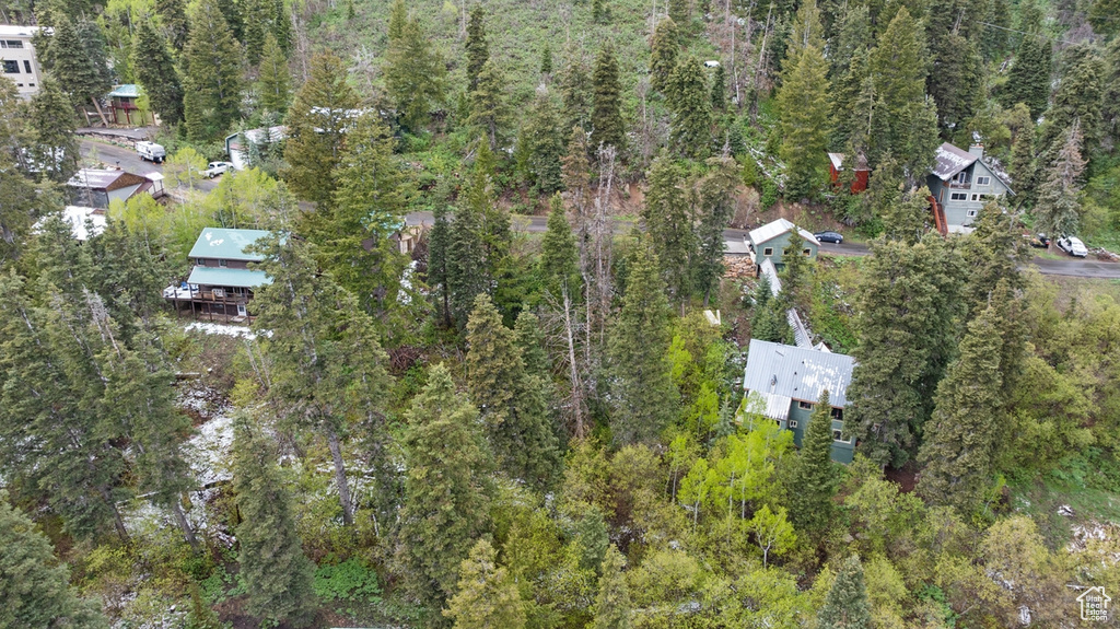 View of property location with a forest