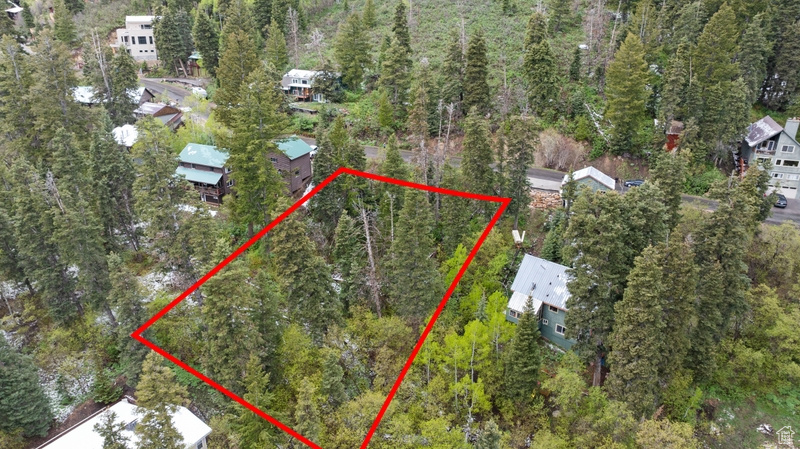 Aerial view of property's location featuring property parcel outlined and a forest