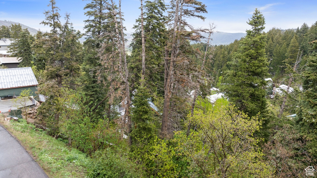 Aerial view of property and surrounding area with a forest and a mountain backdrop