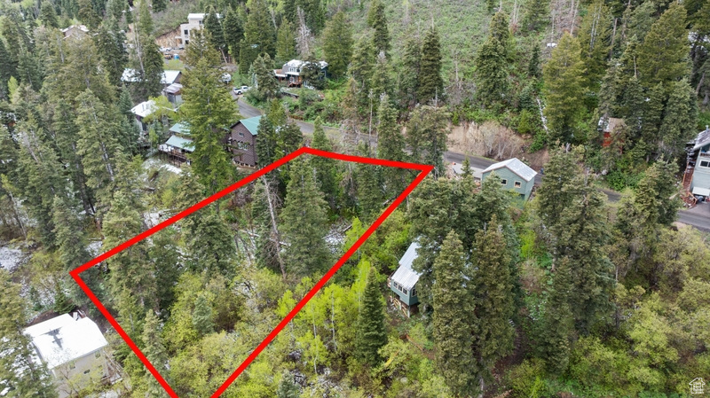 View of property location with property boundaries highlighted and a forest