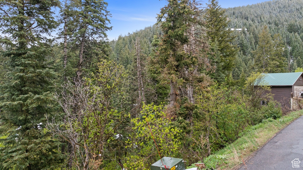 View of mountain background with a forest
