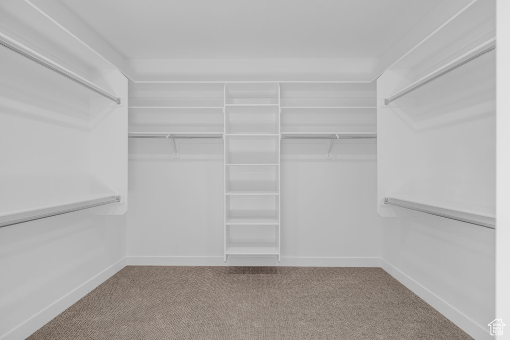 Walk in closet with carpet floors
