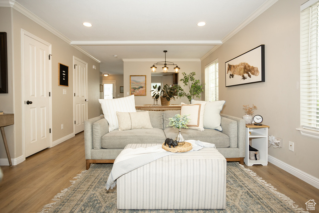 Living room featuring plenty of natural light, wood finished floors, baseboards, recessed lighting, and ornamental molding