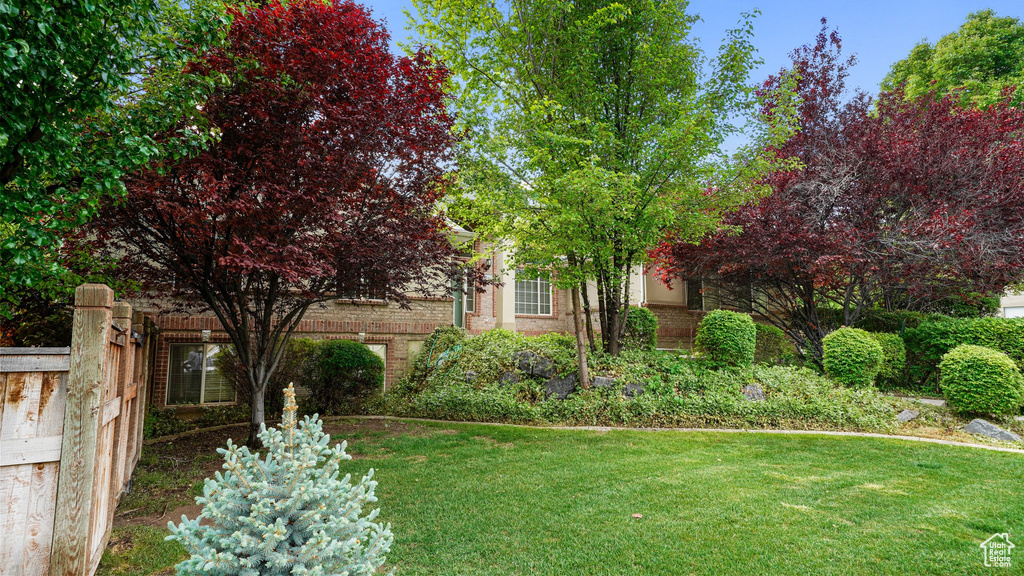 View of grassy yard