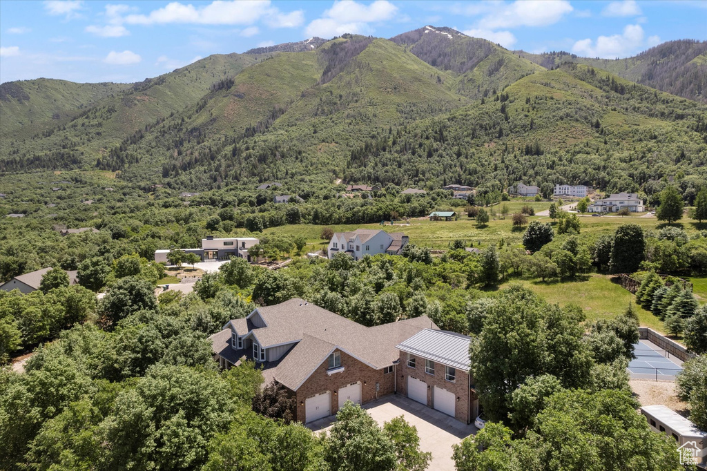 Drone / aerial view of a forest and a mountainous background