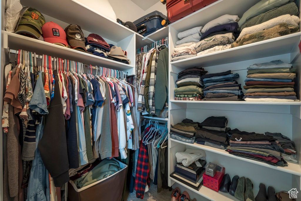 Spacious closet featuring carpet flooring