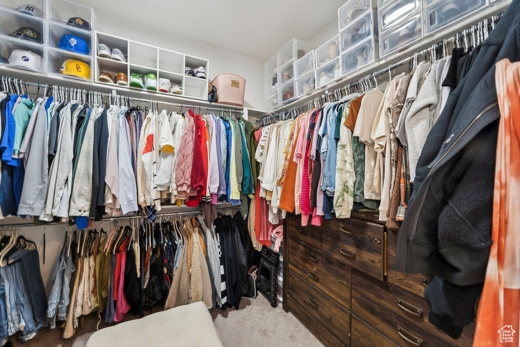 Spacious closet featuring carpet floors