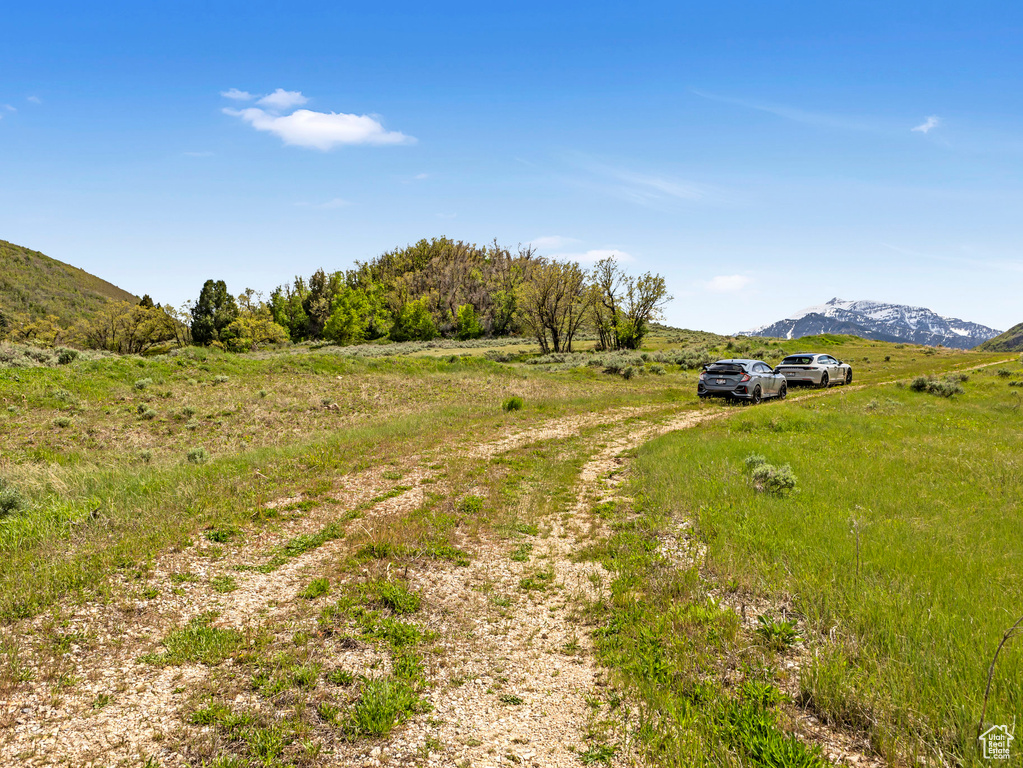 View of yard featuring a rural view, a mountain view, and driveway