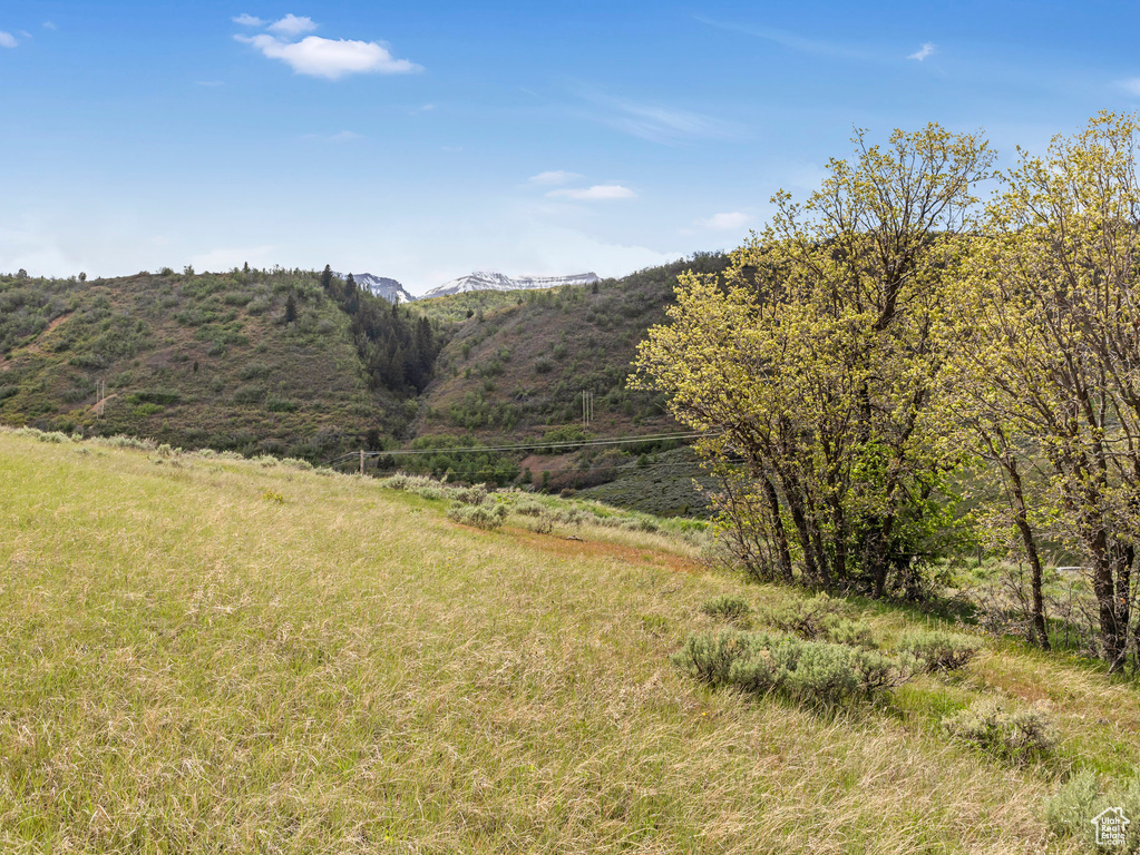 View of mountain background