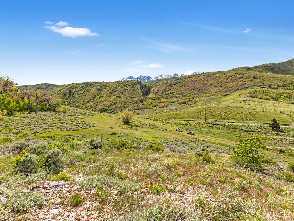 View of mountain background