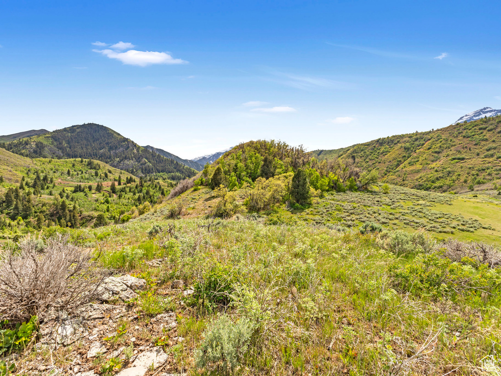 View of mountain backdrop