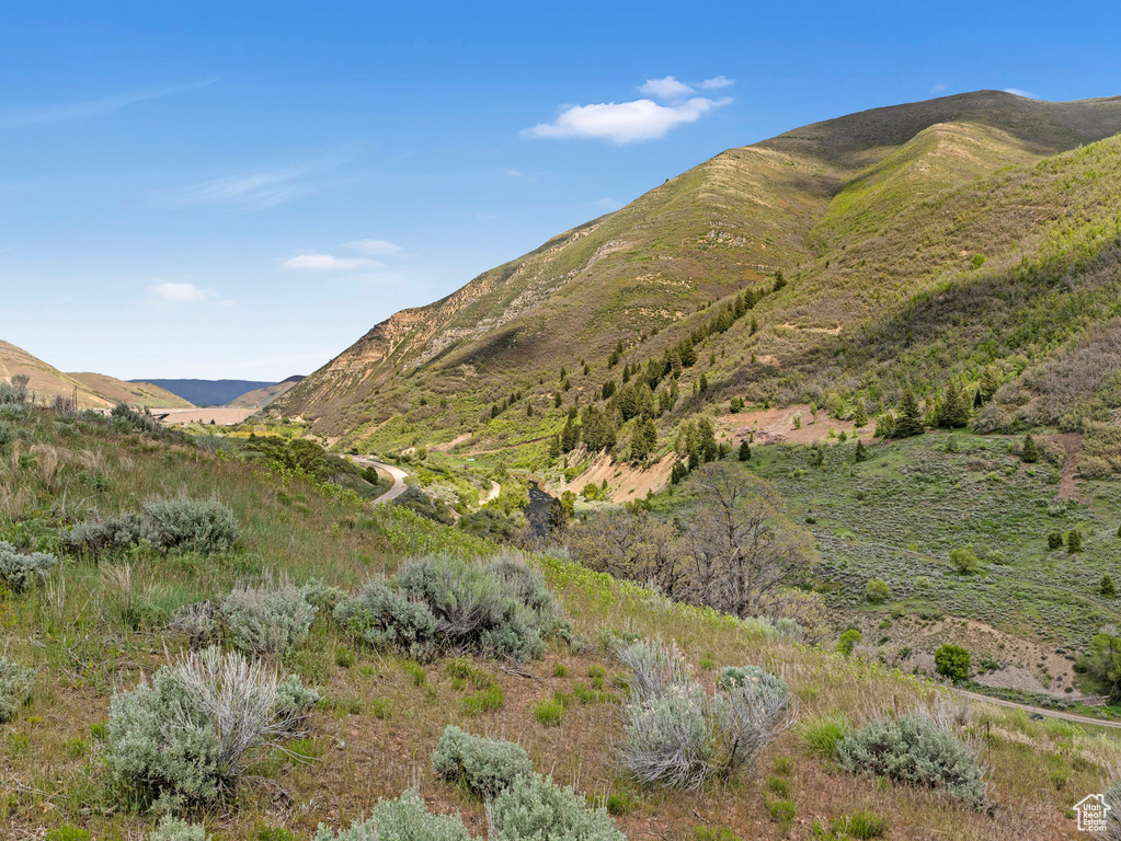 View of mountain backdrop