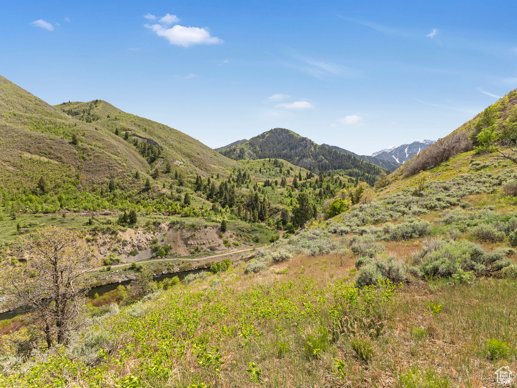 Mountain view