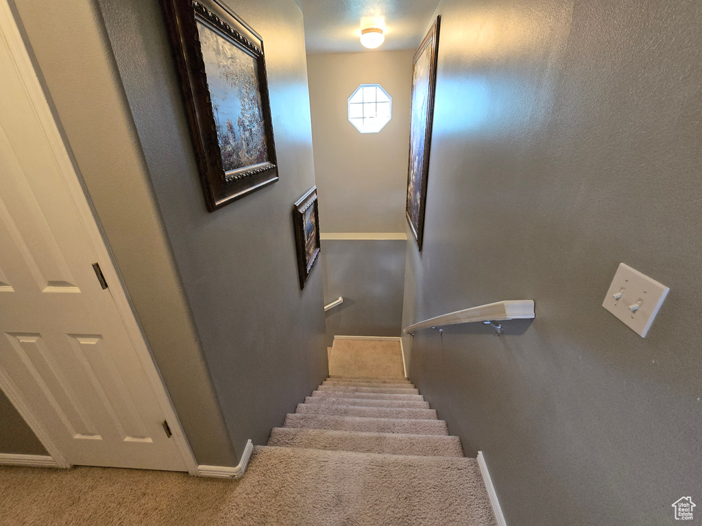Staircase featuring baseboards and carpet floors