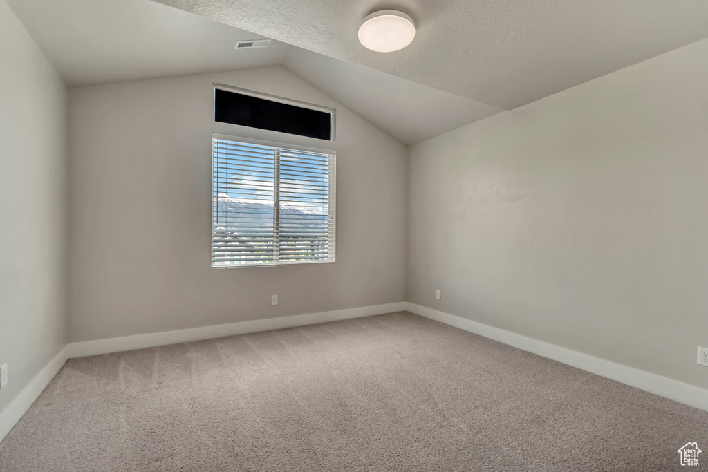 Bonus room with carpet, baseboards, lofted ceiling, and a textured ceiling