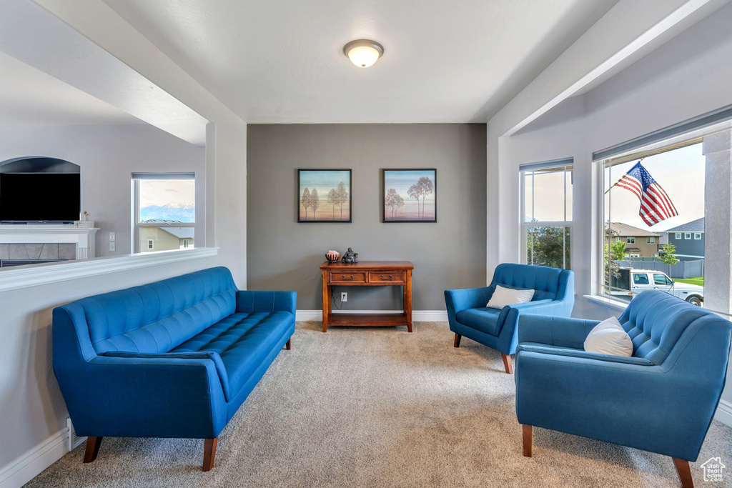 Living room featuring carpet flooring and baseboards
