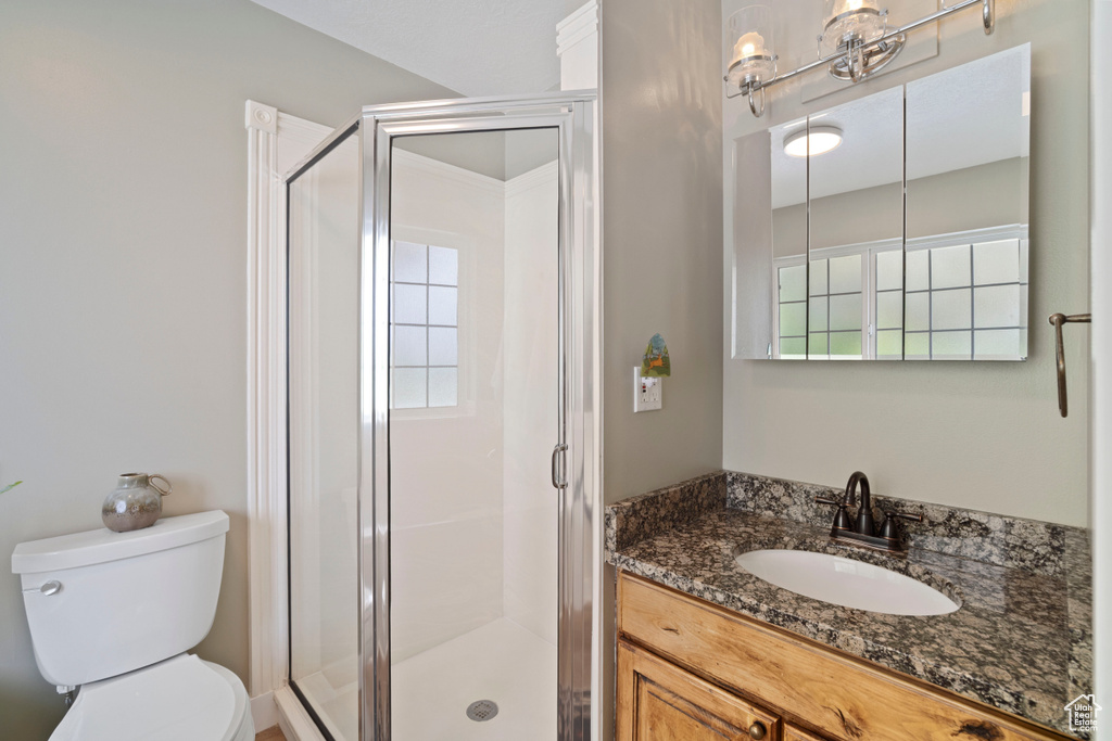 Bathroom featuring toilet, a shower stall, and vanity