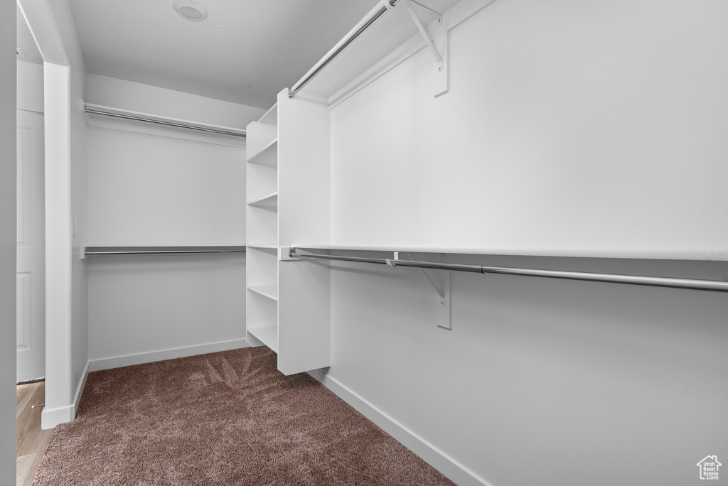 Spacious closet featuring carpet flooring
